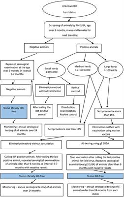 Infectious Bovine Rhinotracheitis Control Program in Slovakia